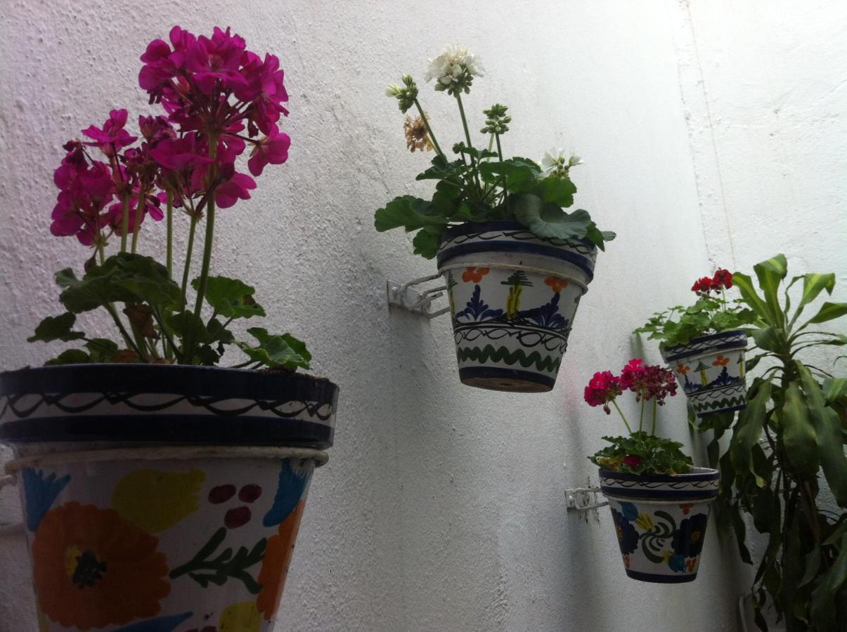 Hostal Berlin Marbella Exteriér fotografie